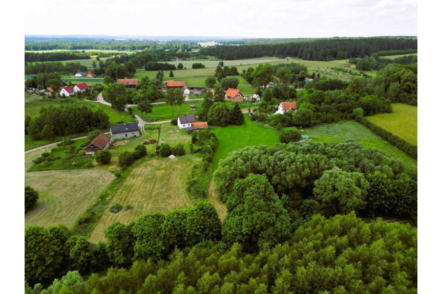 ostródzki, Dąbrówno, Ostrowite, dom z dużą działką w pobliżu jeziora